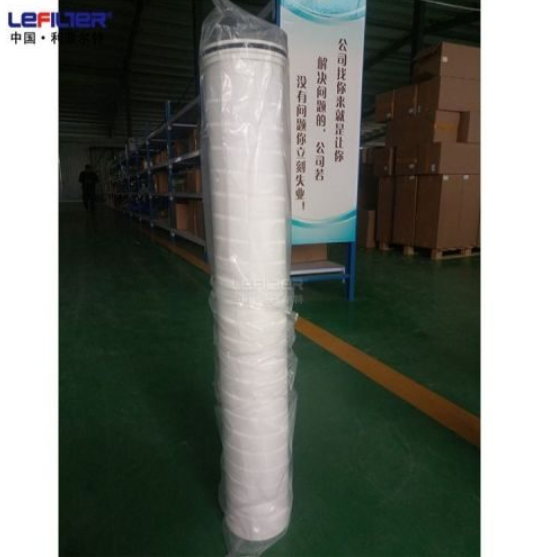 Replacement Pall High-Flow Filter Element In The Energy Industry